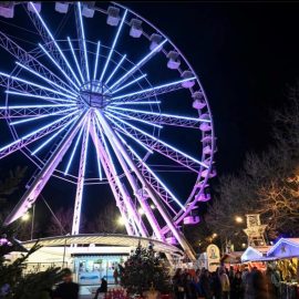 ferris-wheel-portable-40mt-amusement-ride4